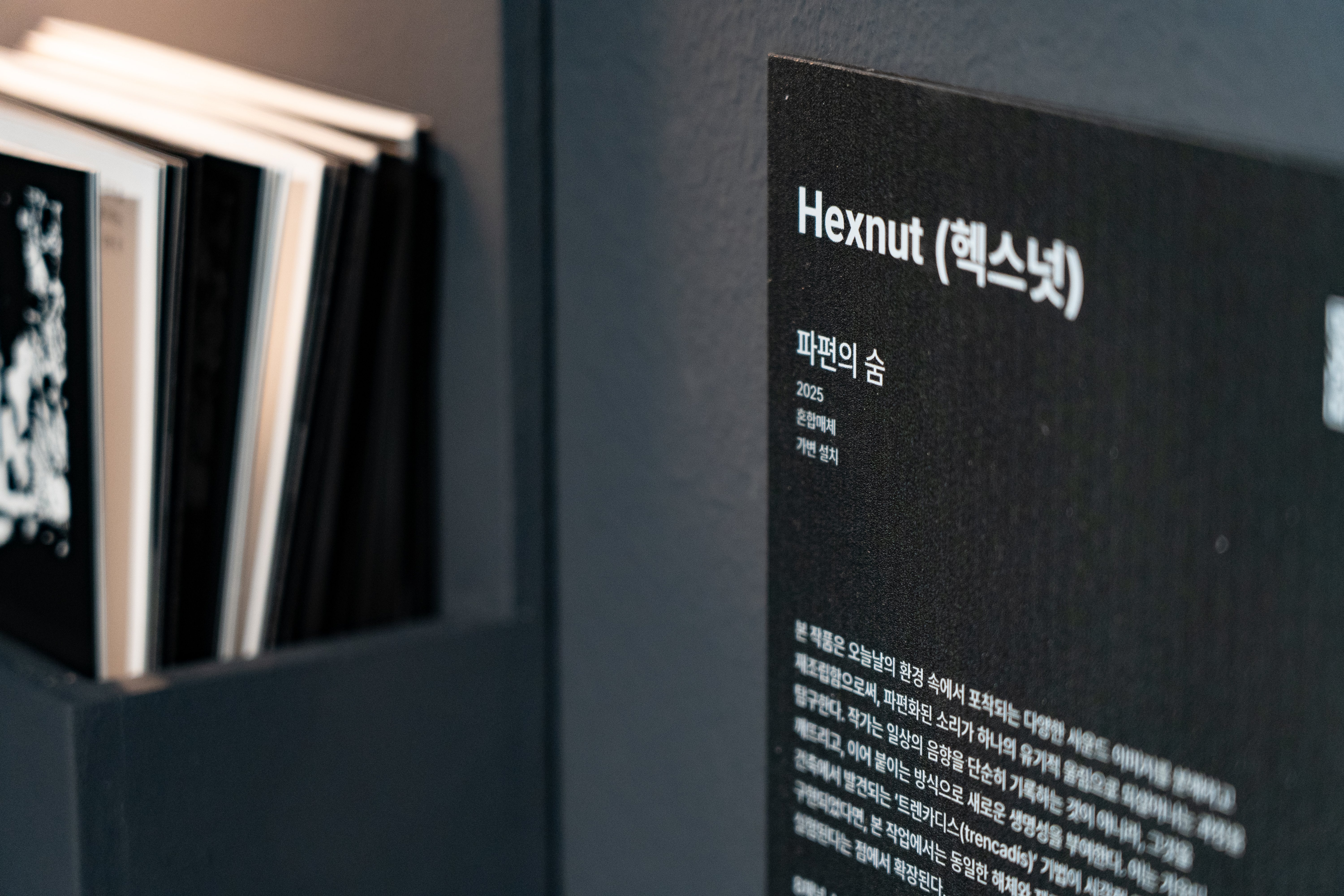 빛의 궤도 — 04